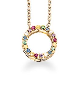 SCROUPLES RAINBOW CIRKEL VEDHÆNG 8 KARAT GULD - 210903