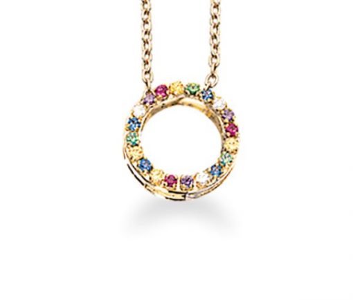 SCROUPLES RAINBOW CIRKEL VEDHÆNG 8 KARAT GULD - 210903