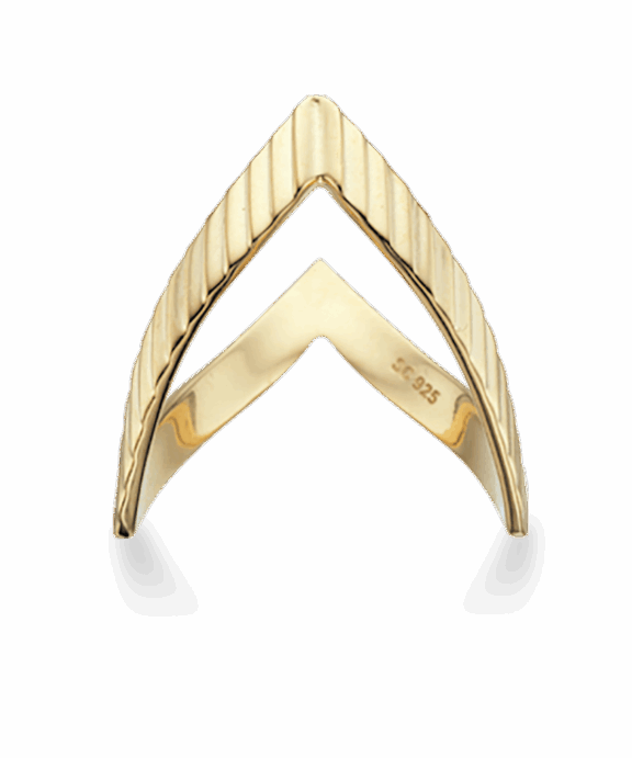 SCROUPLES SØLV FORGYLDT BISPERING PLISSÉ - 726542