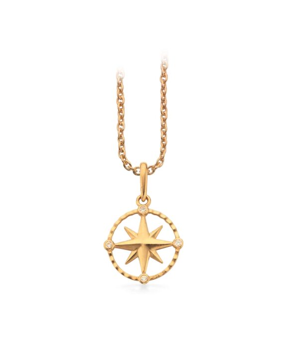 SCROUPLES 8 KARAT GULD VEDHÆNG MED STJERNE - 213353