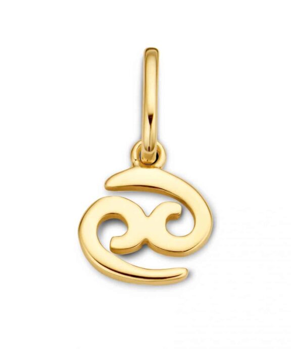 SPIRIT ICONS STJERNETEGN KREBS VEDHÆNG SØLV FORGYLDT - 60032