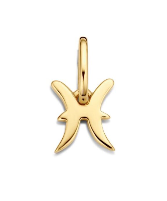 SPIRIT ICONS STJERNETEGN FISK FORGYLDT VEDHÆNG - 60112