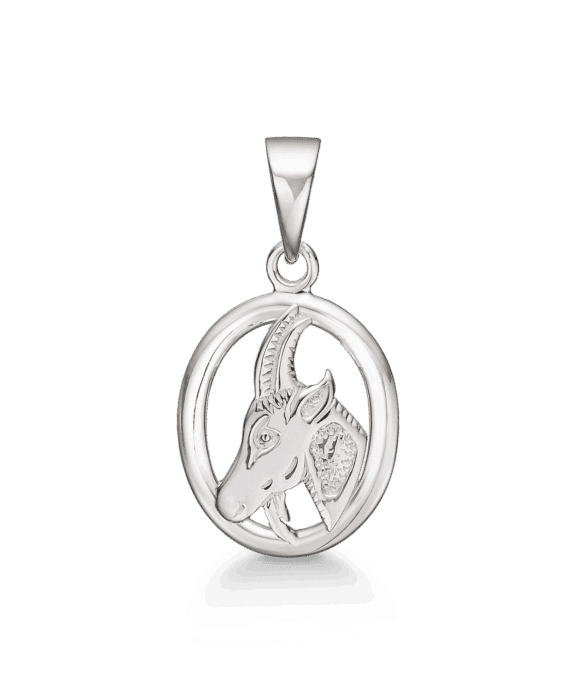 STØVRING DESIGN STJERNETEGN STENBUK SØLV - 14110