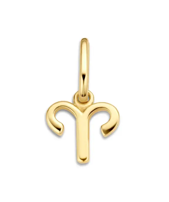 SPIRIT ICONS STJERNETEGN VEDHÆNG VÆDDER FORGYLDT SØLV - 60002