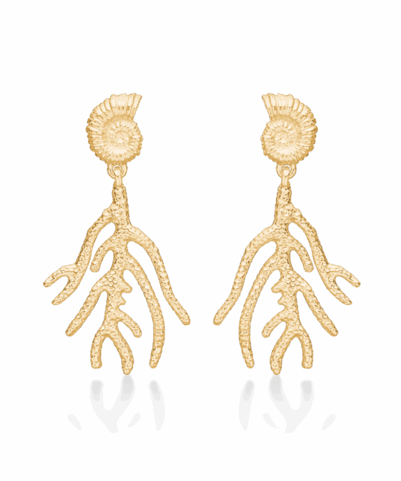 STUDIO Z SEASHELL SECRETS SØLV FORGYLDTE ØRERINGE - 7210905