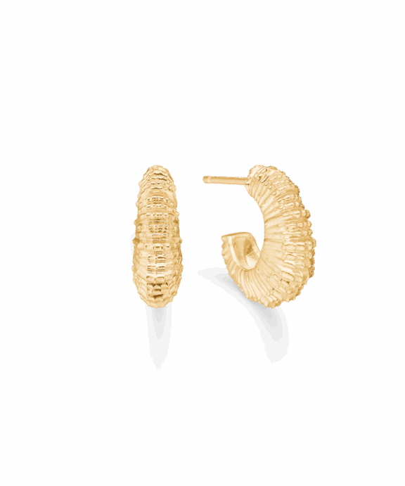 STUDIO Z SEASHELL SECRETS SØLV FORGYLDT ØRERINGE- 7210907