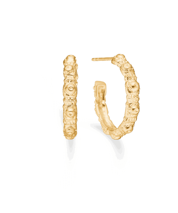 STUDIO Z URCHIN ELEGANCE SØLV FORGYLDT ØRERINGE - 7210917