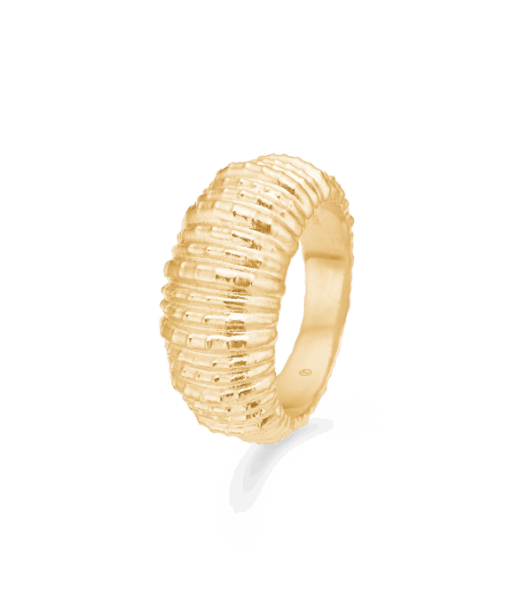 STUDIO Z SEASHELL SECRETS SØLV FORGYLDT RING -7240908