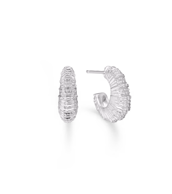 STUDIO Z SEASHELL SECRETS SØLV ØRERINGE - 7110907