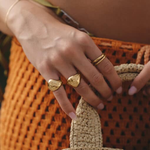 CAMILLE BRINCH TWIN ESSENTIA RING FORGYLDT SØLV - TER-FG - Image 3