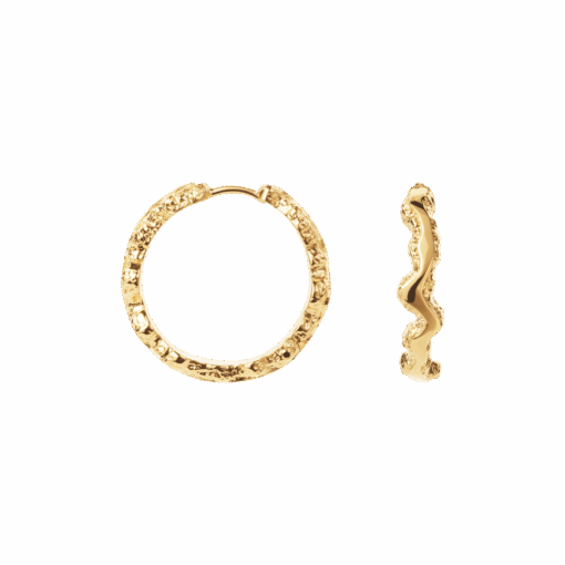 CAMILLE BRINCH LARGE SHINY SPARKLY HOOPS ØRERINGE I FORGYLDT SØLV - LSSPH-FG