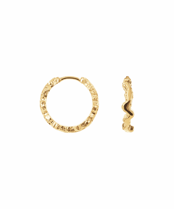 CAMILLE BRINCH SMALL SHINY SPARKLY HOOPS ØRERINGE FORGYLDT SØLV - SSSPH-FG