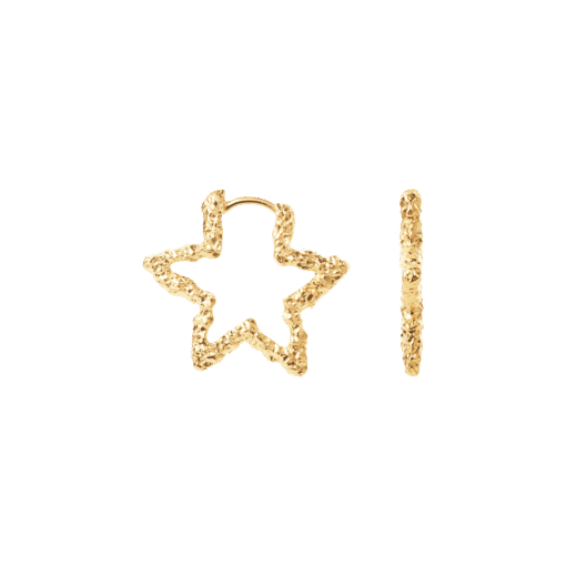 CAMILLE BRINCH STAR SPARKLY HOOPS ØRERINGE I FORGYLDT SØLV - STSPH-FG