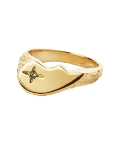 CAMILLE BRINCH SHINY BFF - SBSPR-FG