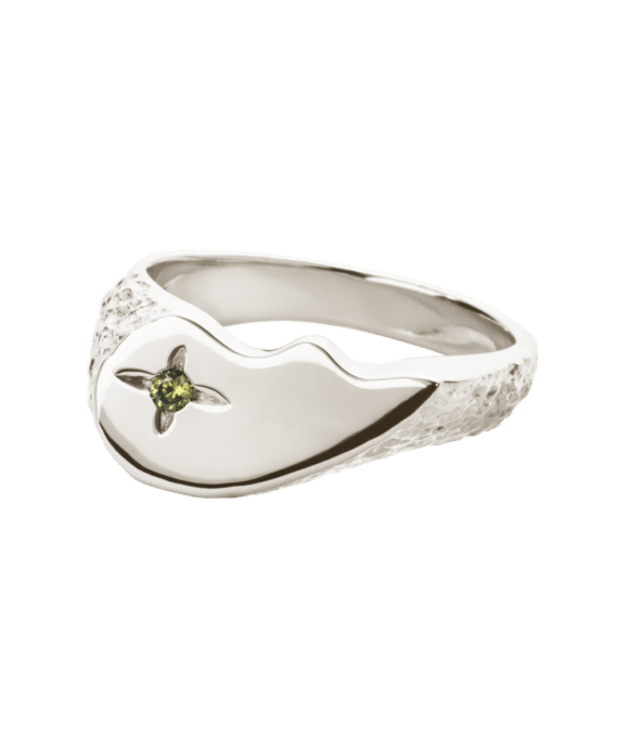 CAMILLE BRINCH SHINY BFF SPARKLY RING I SØLV - SBSPR