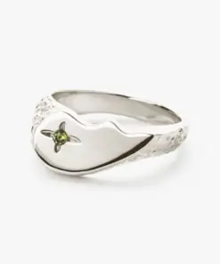 CAMILLE BRINCH SHINY BFF - SBSPR