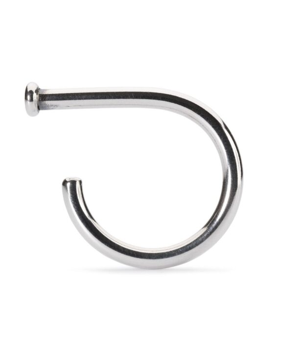 TROLLBEADS FORANDRINGS STR.55 - TAGRI-00355